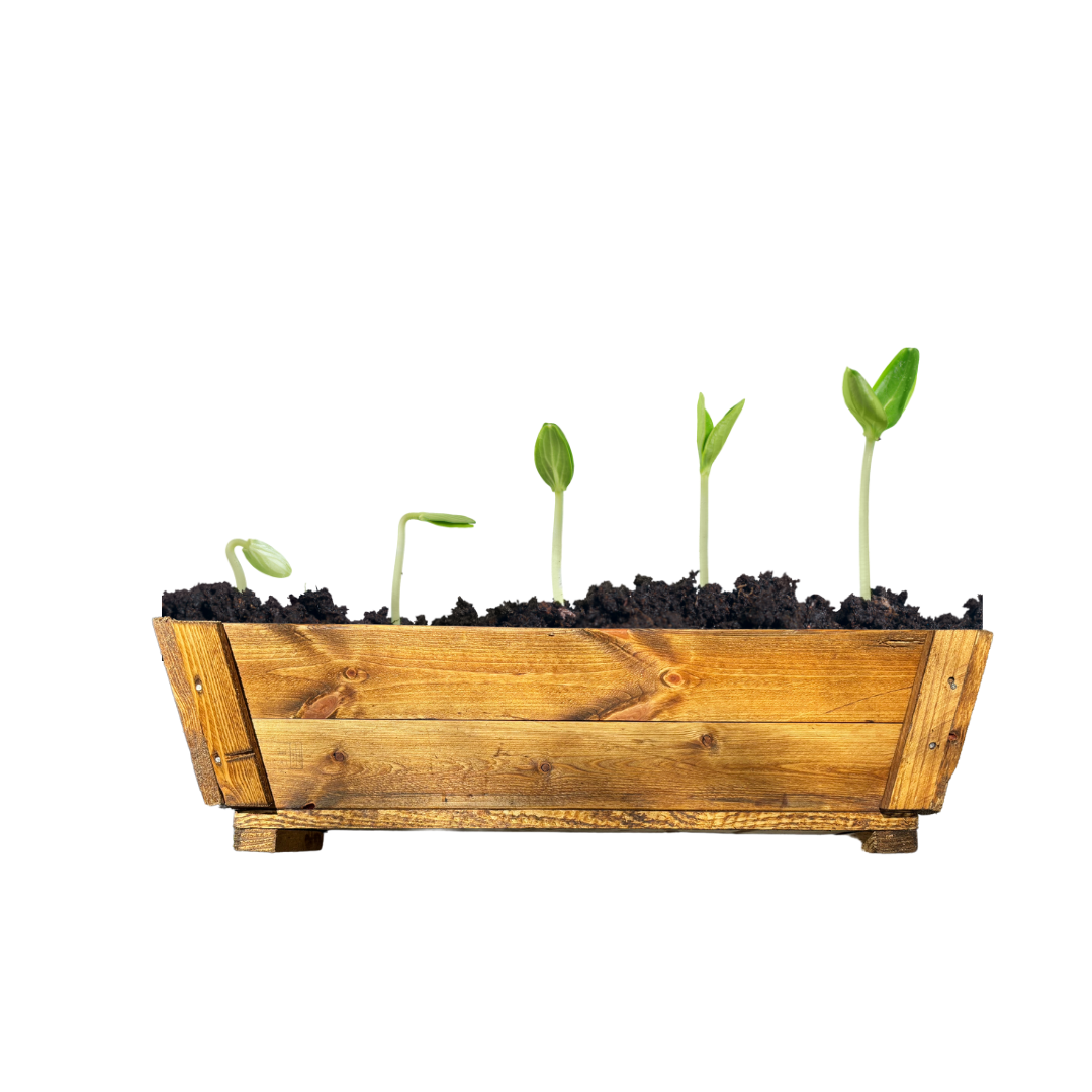 Maceta de Madera - Tipo Jardinera - 60cm - Amaru Comercializadora